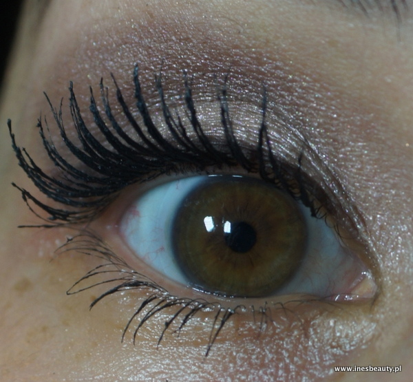 SONY DSC