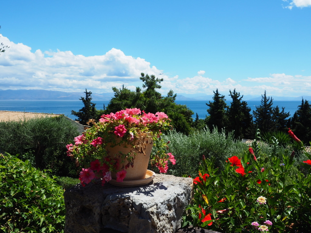 OLYMPUS DIGITAL CAMERA OLYMPUS DIGITAL CAMERA