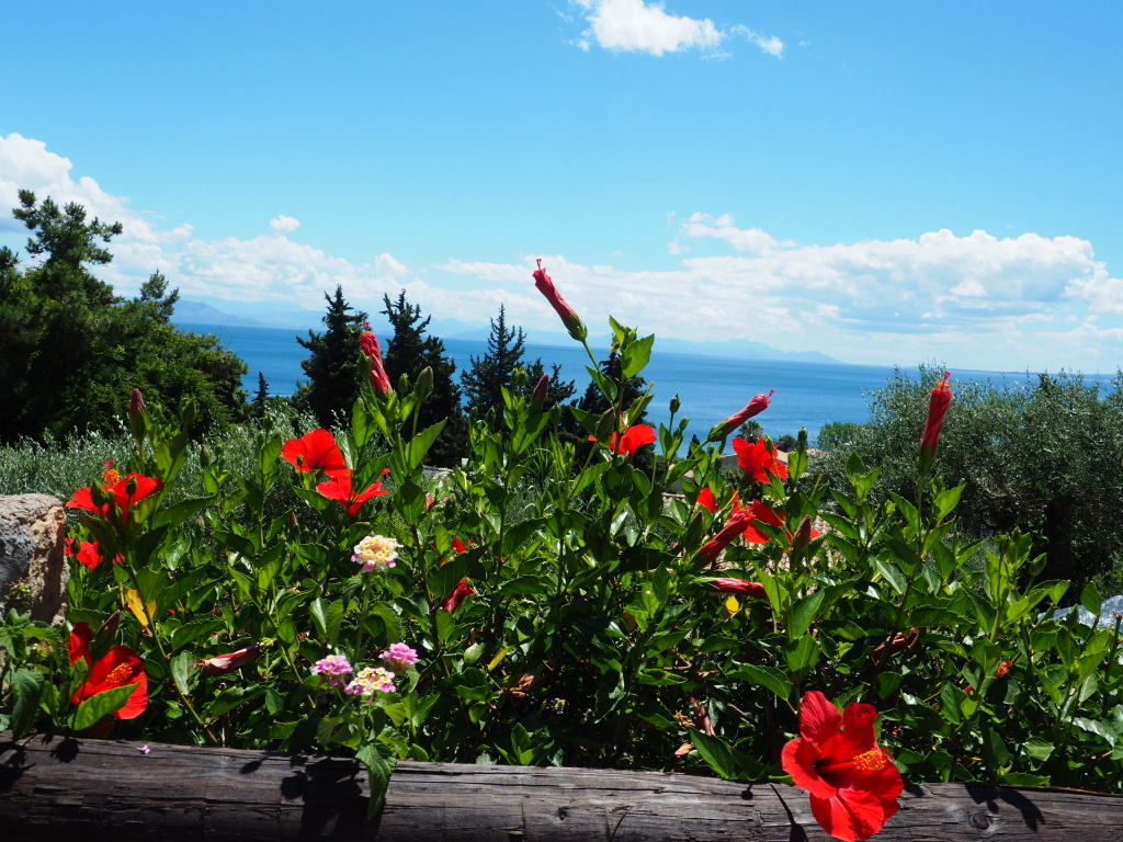 OLYMPUS DIGITAL CAMERA OLYMPUS DIGITAL CAMERA