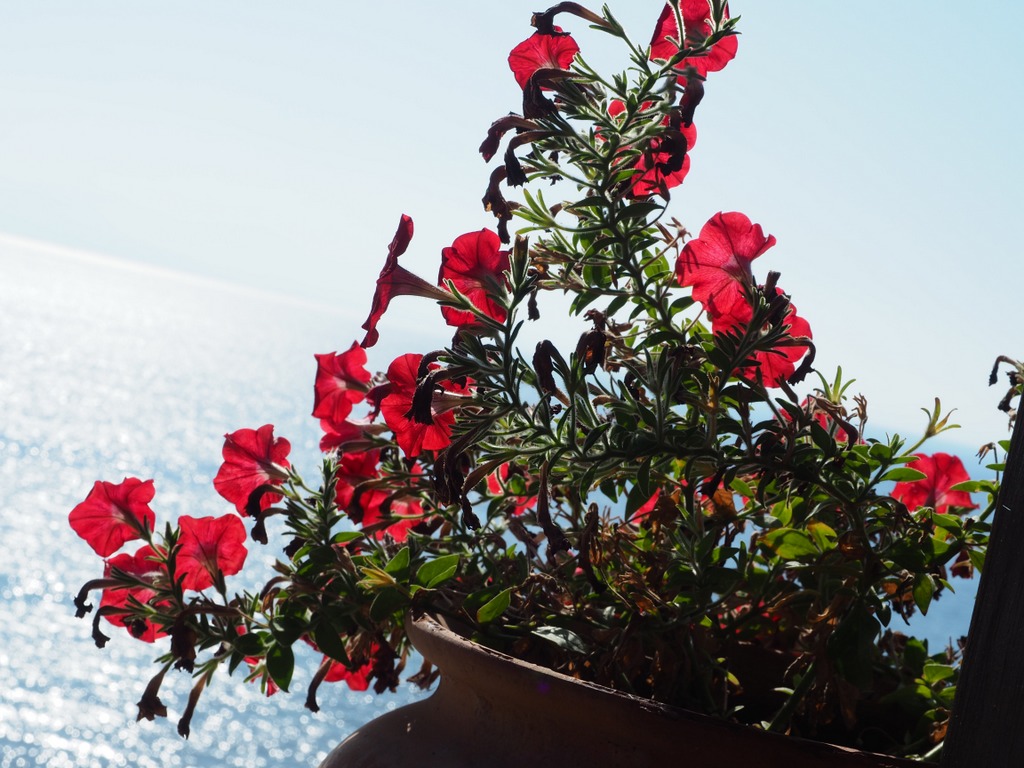 OLYMPUS DIGITAL CAMERA OLYMPUS DIGITAL CAMERA