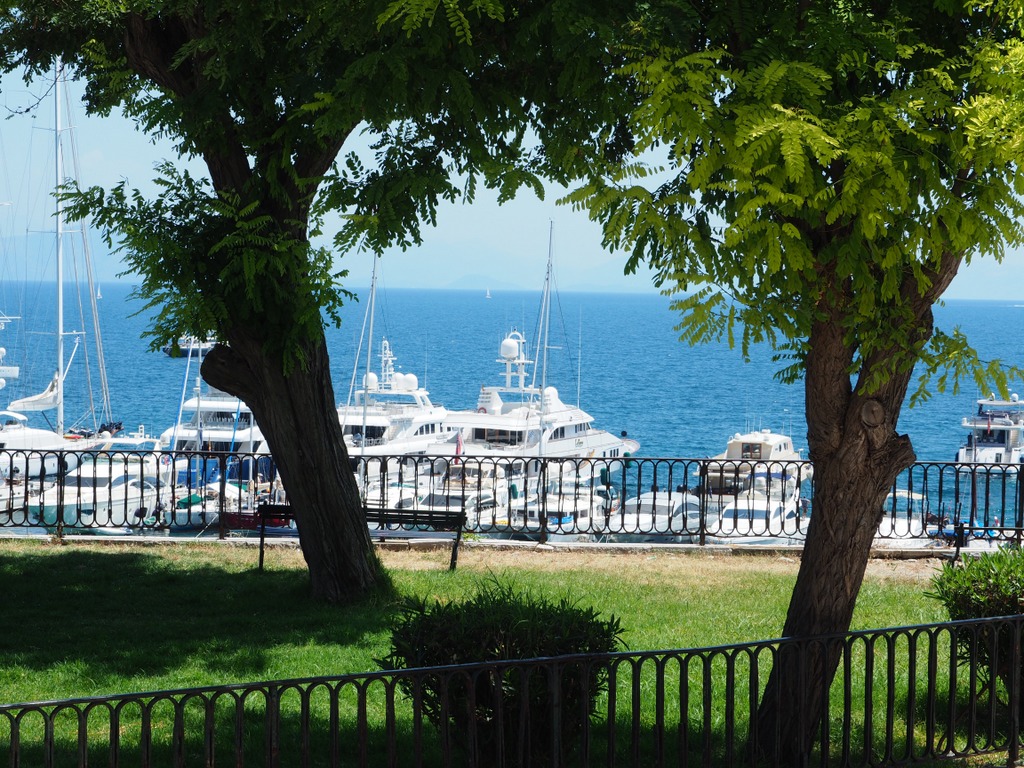 OLYMPUS DIGITAL CAMERA OLYMPUS DIGITAL CAMERA