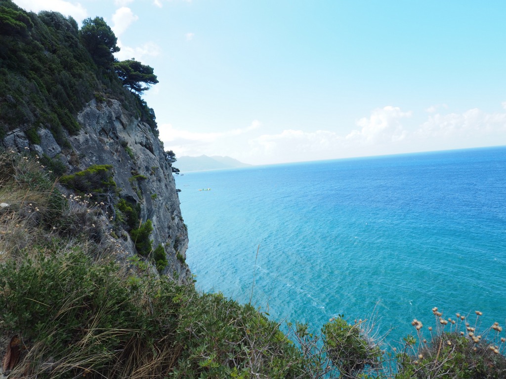 OLYMPUS DIGITAL CAMERA OLYMPUS DIGITAL CAMERA