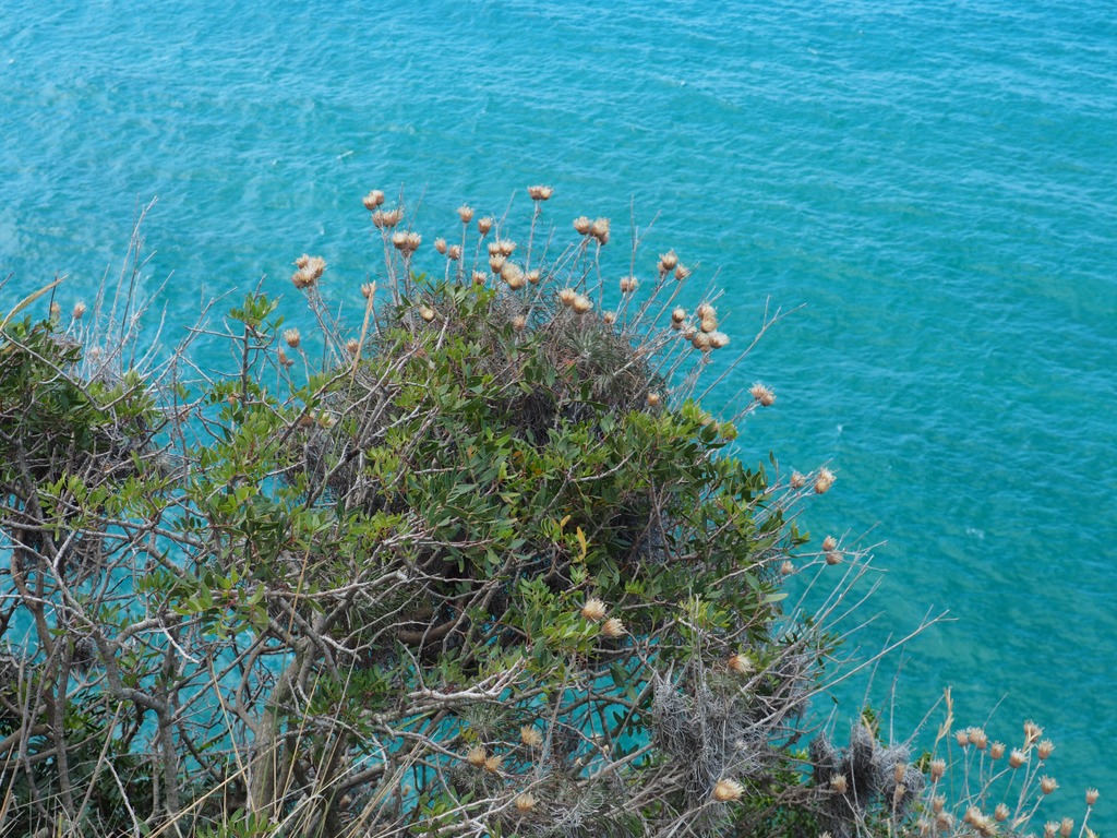 OLYMPUS DIGITAL CAMERA OLYMPUS DIGITAL CAMERA