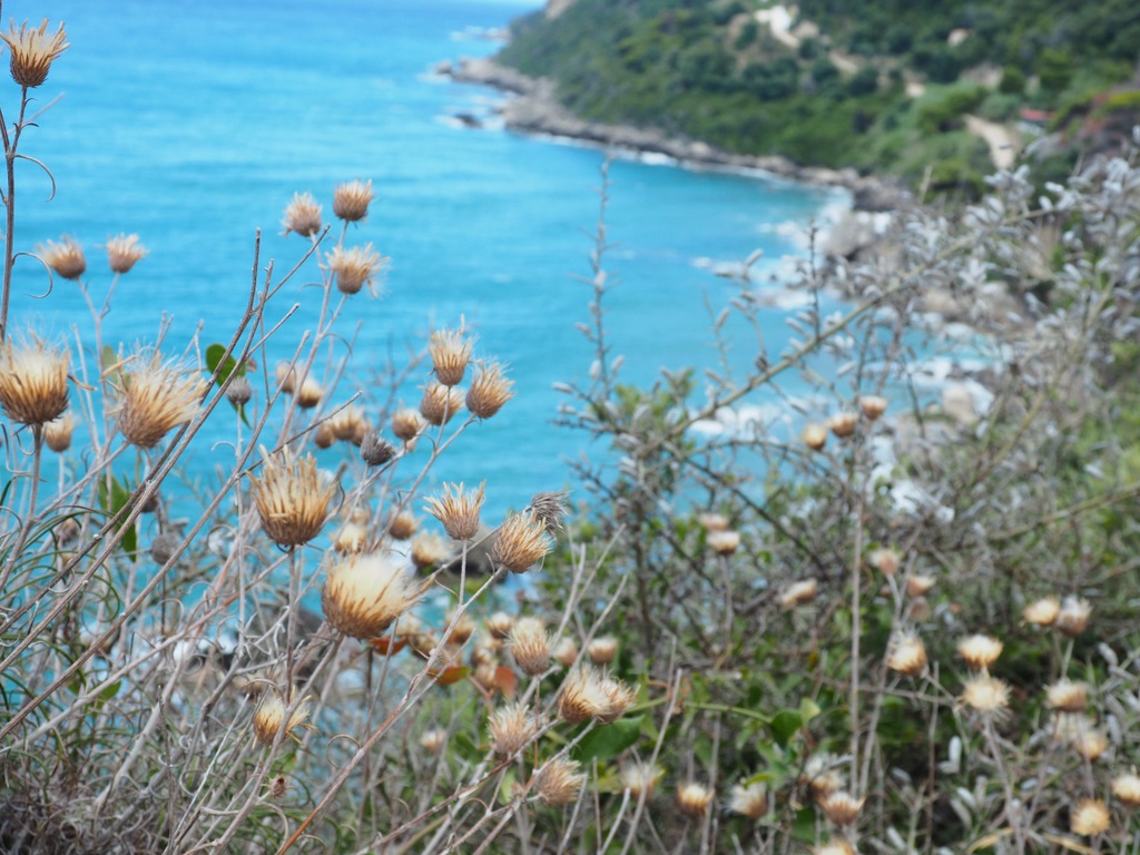 OLYMPUS DIGITAL CAMERA OLYMPUS DIGITAL CAMERA