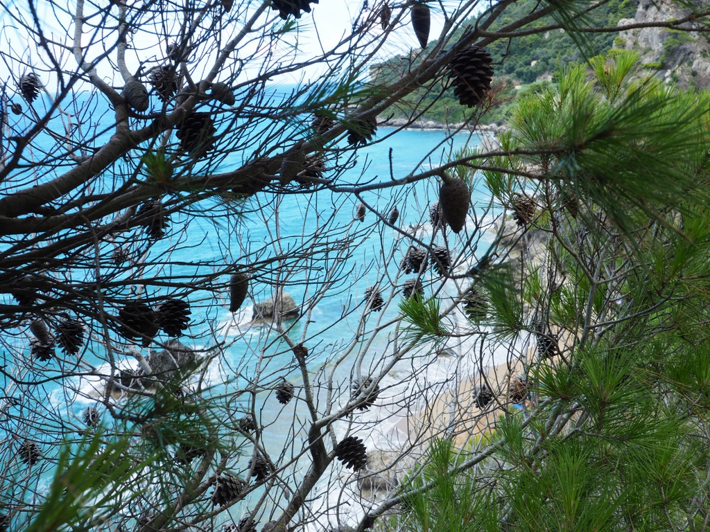 OLYMPUS DIGITAL CAMERA OLYMPUS DIGITAL CAMERA