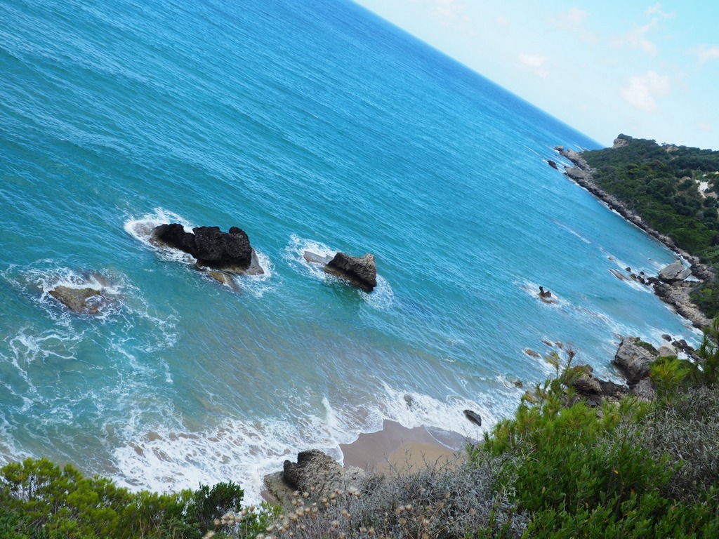 OLYMPUS DIGITAL CAMERA OLYMPUS DIGITAL CAMERA