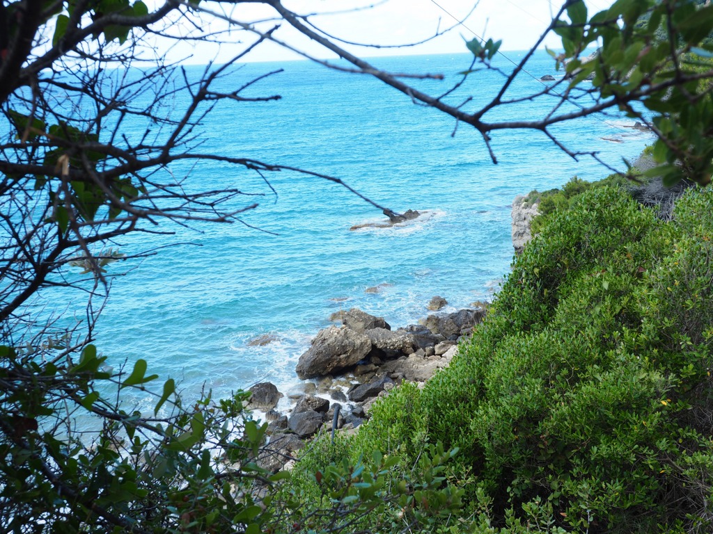 OLYMPUS DIGITAL CAMERA OLYMPUS DIGITAL CAMERA