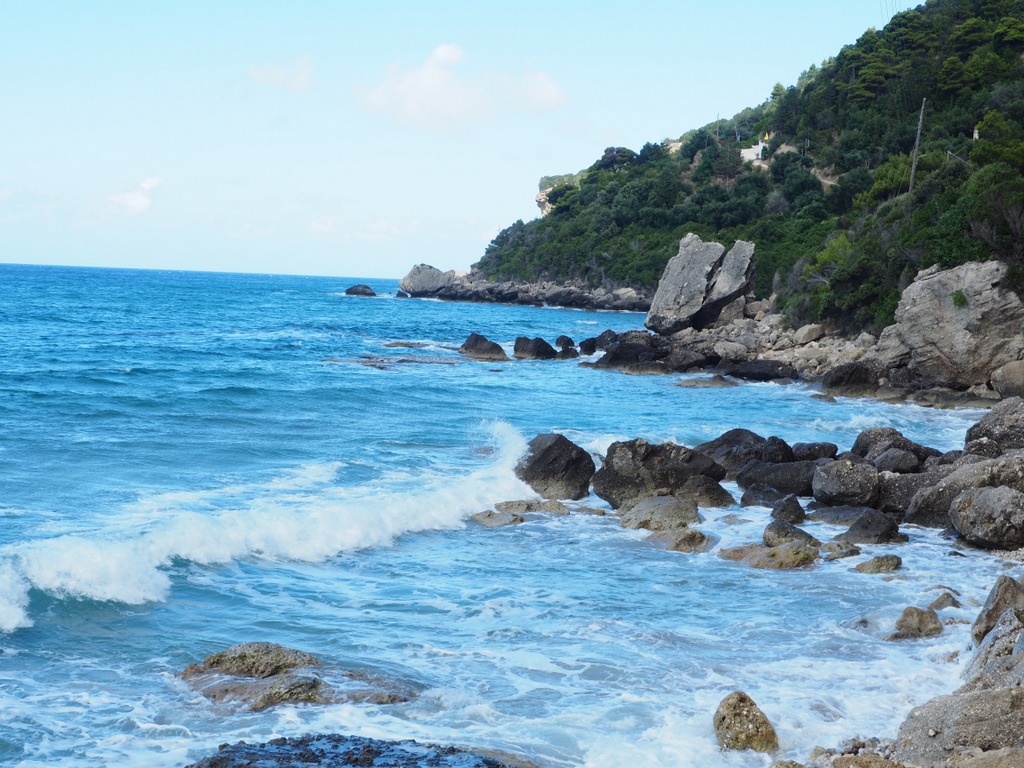 OLYMPUS DIGITAL CAMERA OLYMPUS DIGITAL CAMERA