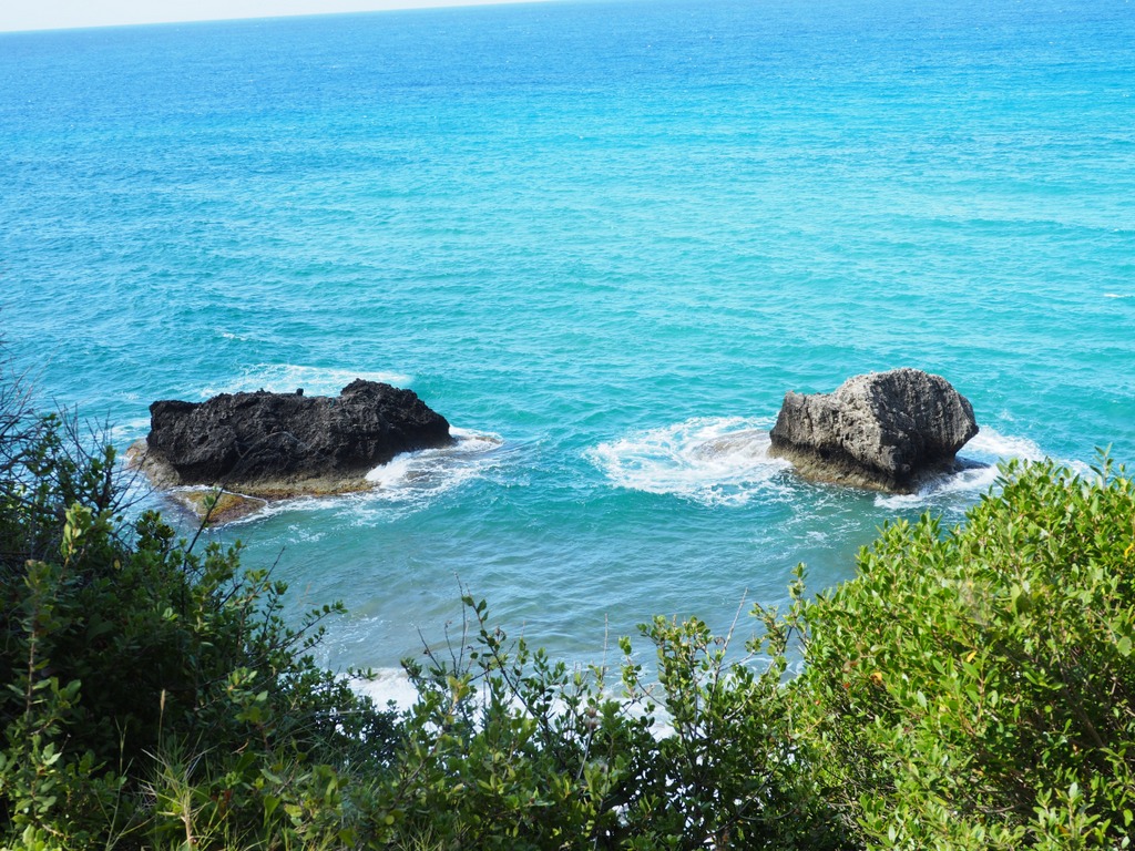 OLYMPUS DIGITAL CAMERA OLYMPUS DIGITAL CAMERA