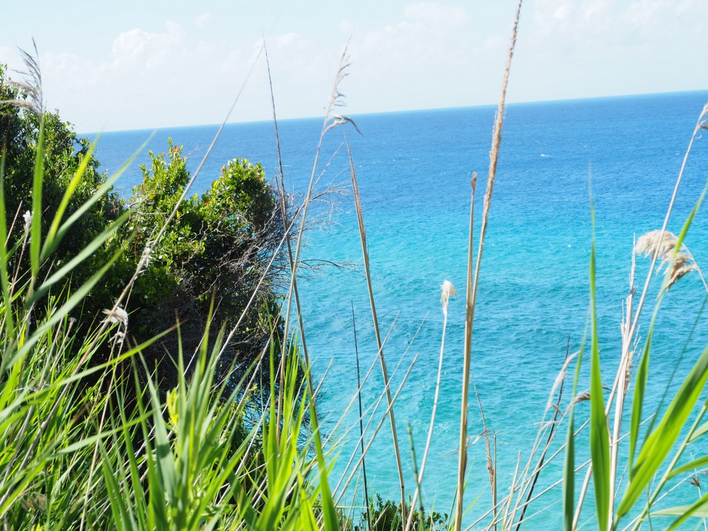 OLYMPUS DIGITAL CAMERA OLYMPUS DIGITAL CAMERA