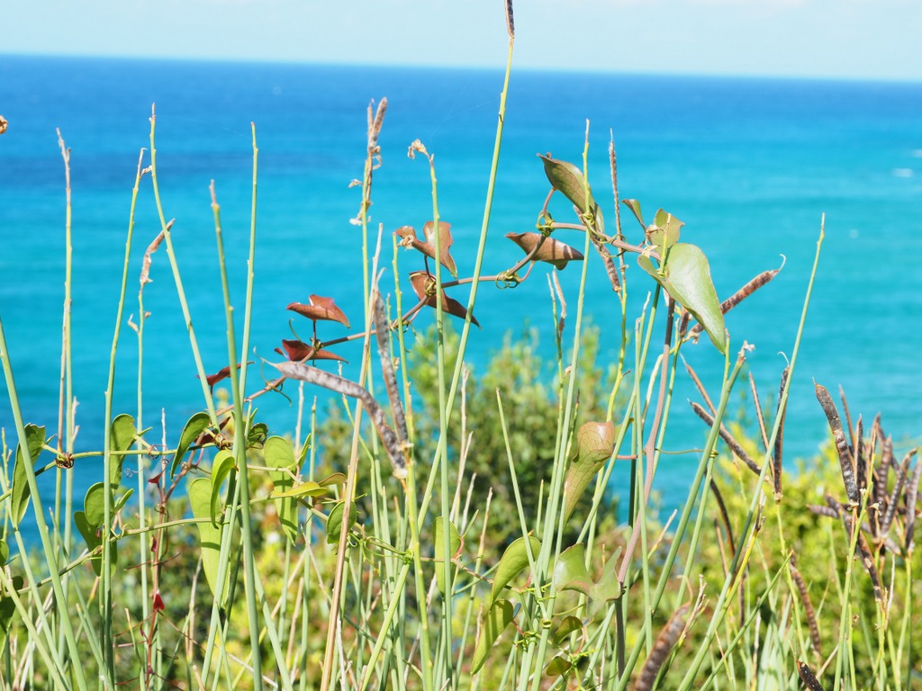 OLYMPUS DIGITAL CAMERA OLYMPUS DIGITAL CAMERA