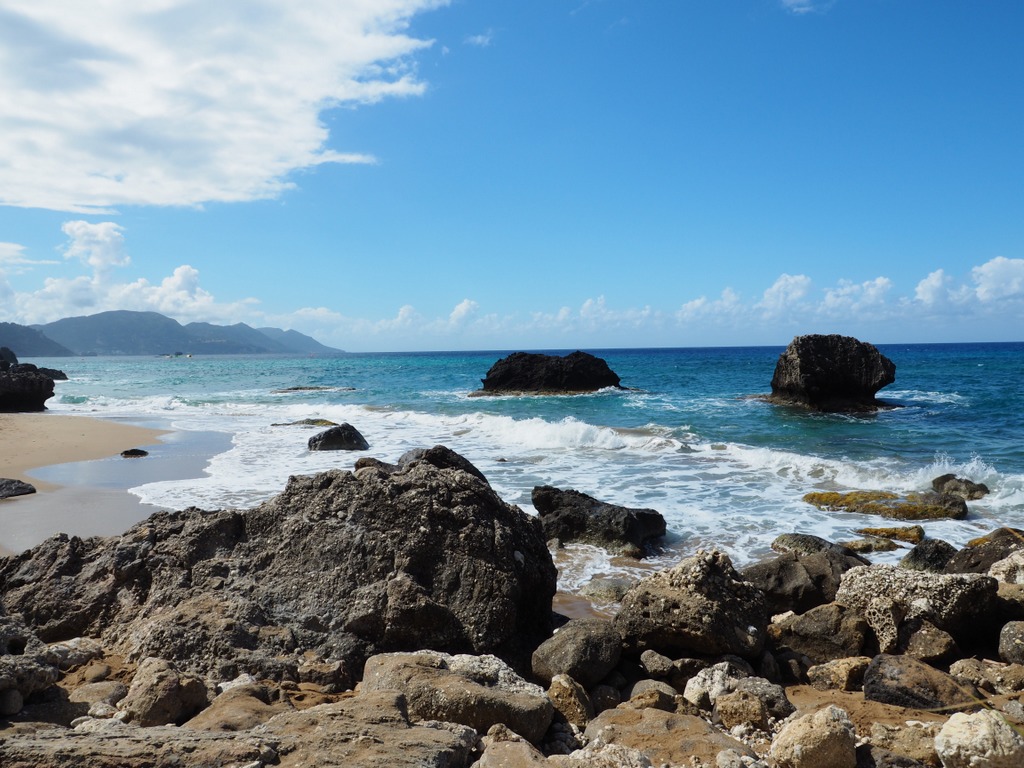 OLYMPUS DIGITAL CAMERA OLYMPUS DIGITAL CAMERA