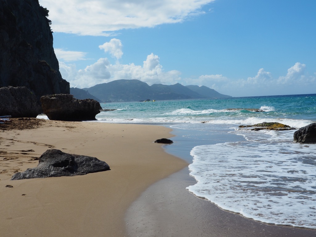 OLYMPUS DIGITAL CAMERA OLYMPUS DIGITAL CAMERA