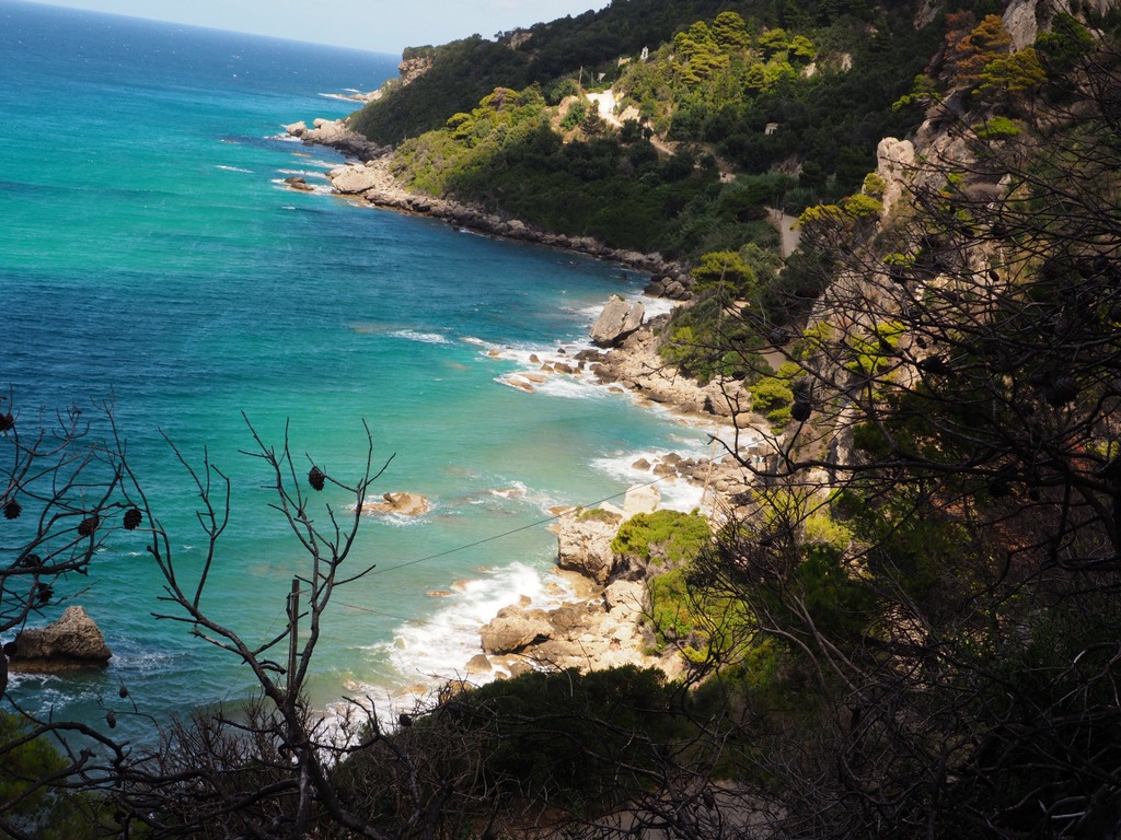 OLYMPUS DIGITAL CAMERA OLYMPUS DIGITAL CAMERA