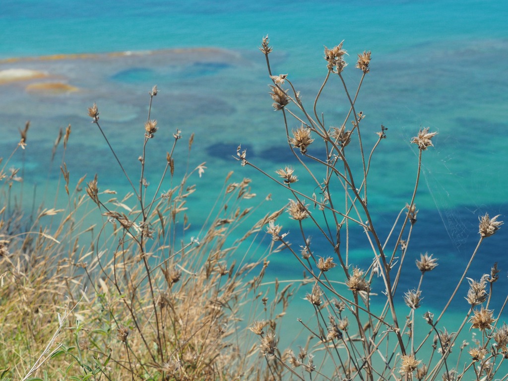 CAPE DIASTRIS CAPE DIASTRIS