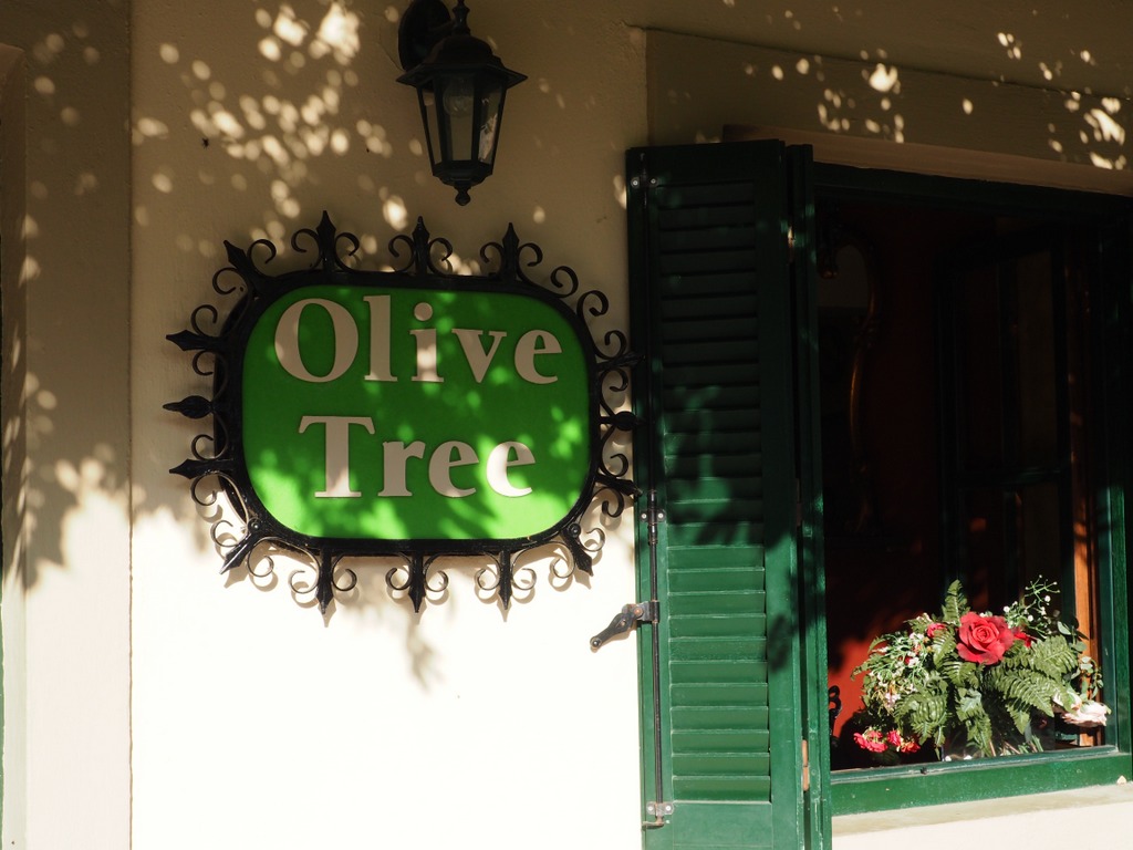 OLYMPUS DIGITAL CAMERA OLYMPUS DIGITAL CAMERA