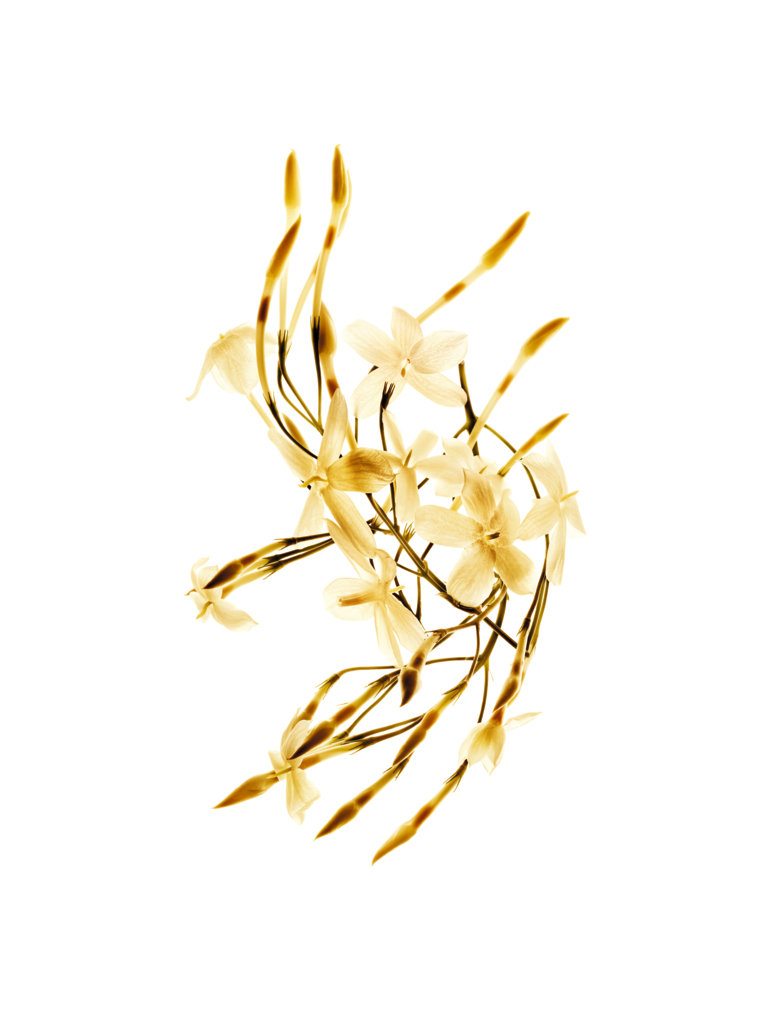 GABRIELLE CHANEL GABRIELLE CHANEL