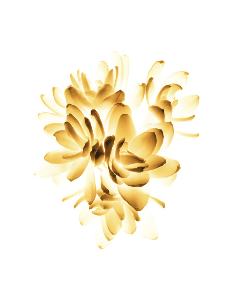 GABRIELLE CHANEL GABRIELLE CHANEL