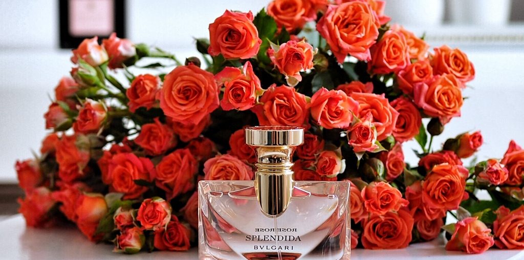 Bvlgari Splendida Rose Rose